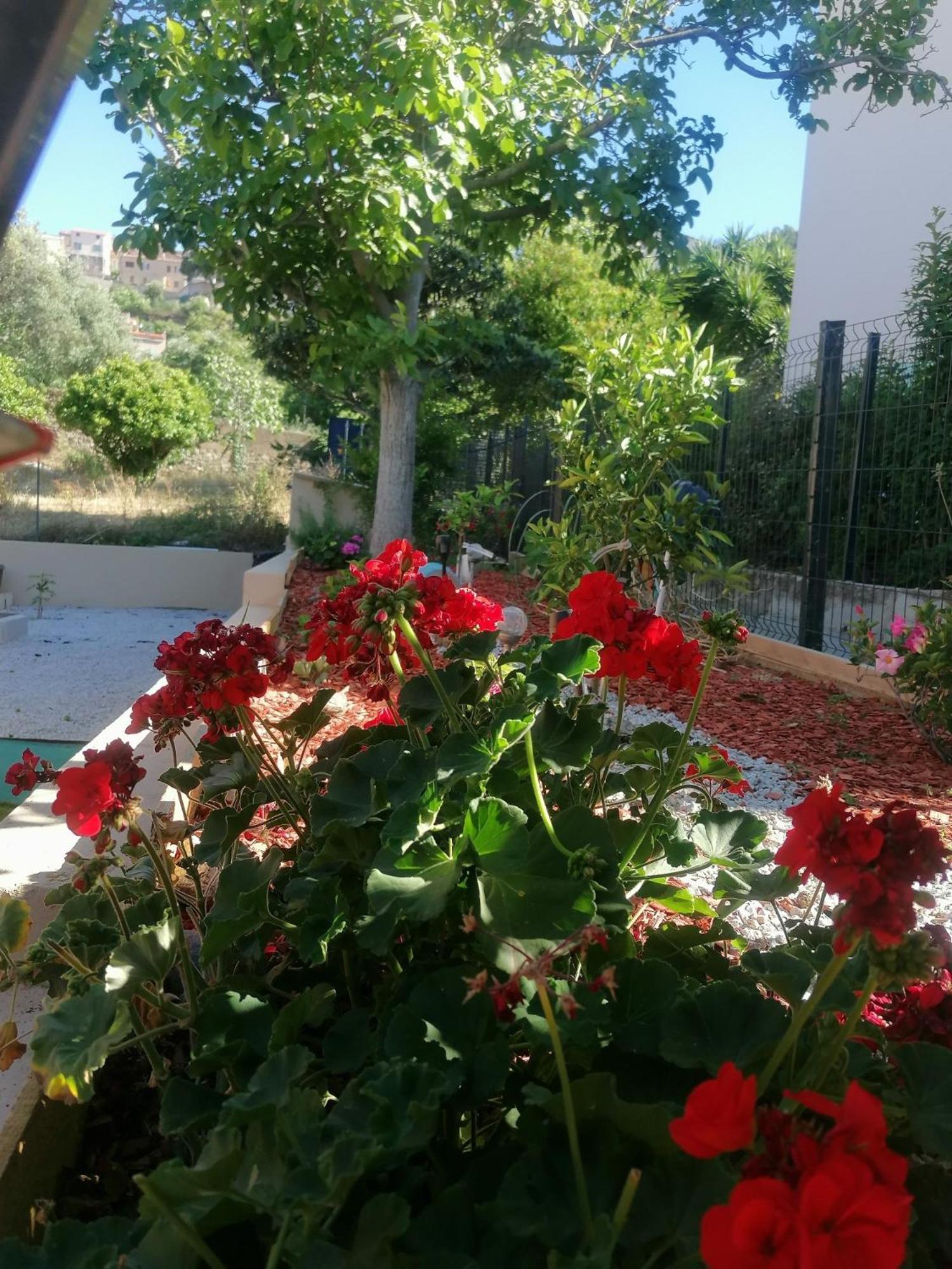 Bed and Breakfast A Casa Assulanatta Santa-Reparata-di-Balagna Экстерьер фото